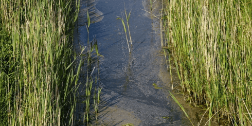 Drainage & Entwässerung