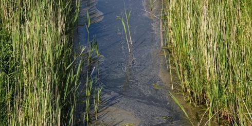 Drainage & Entwässerung