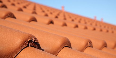 Dachsteine