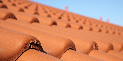 Dachsteine