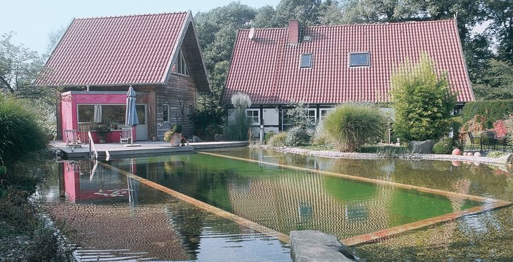 Schwimmteich anlegen, Themenwelten 960x490 