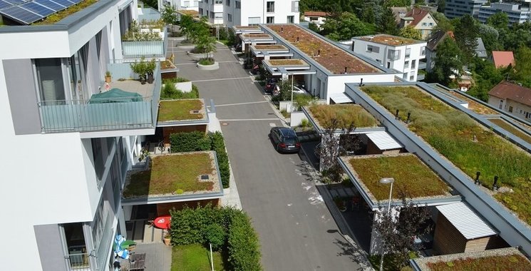 Expertentipps_Garagenbegrünung_960x490