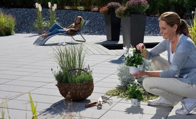 Expertentipps_Gartenpflanzen_490x250