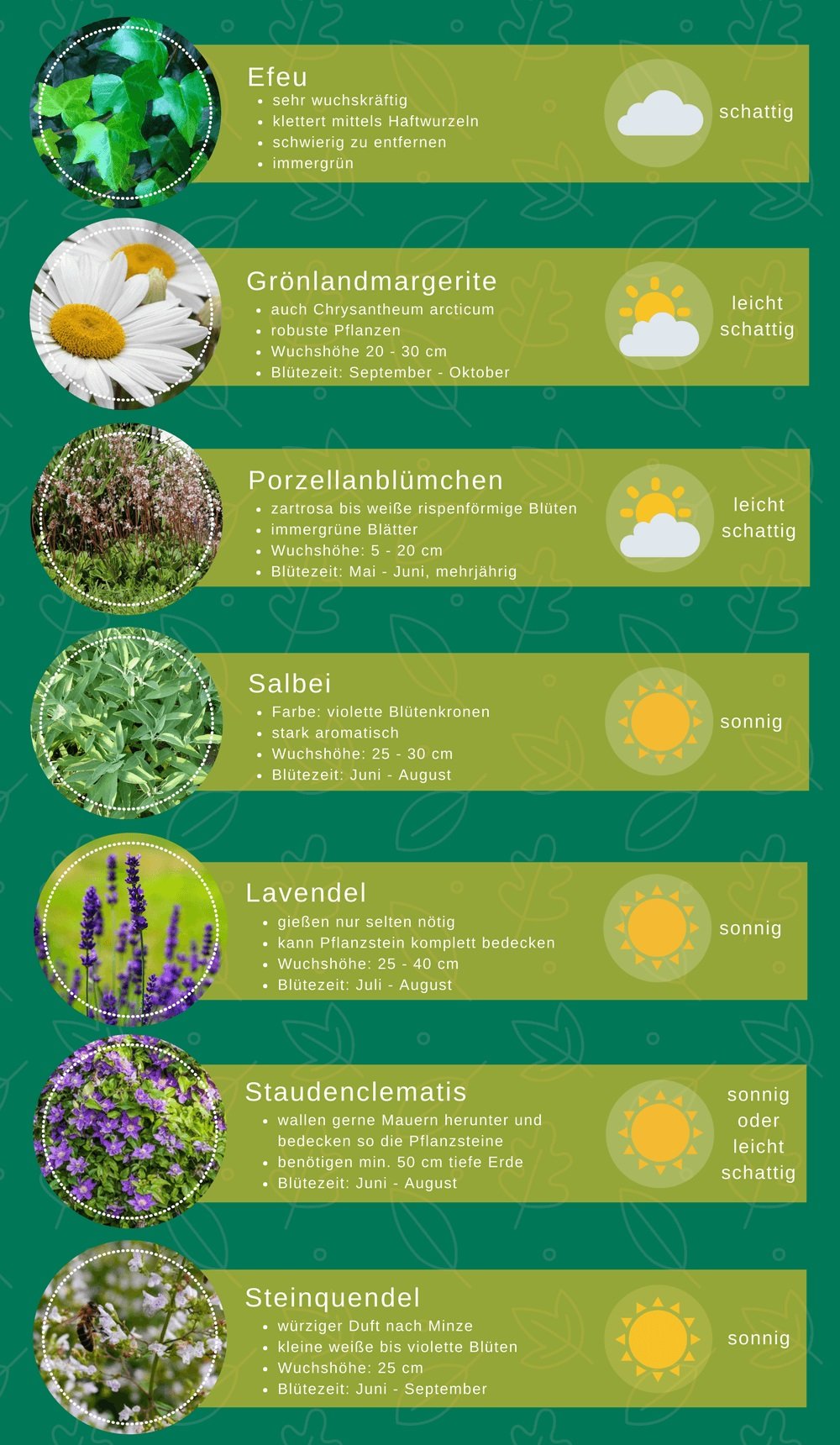 Auflistung von Pflanzen mit Eigenschaften und Standortangaben, die für Pflanzsteine geeignet sind