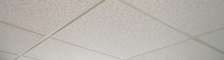Deckenplatten
