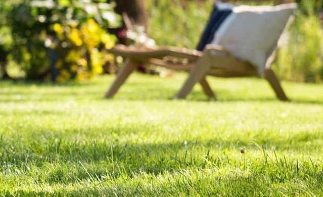 rasen pflegen düngen