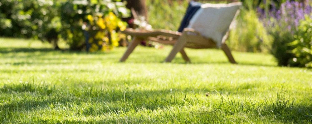 Rasen Dungen Leicht Gemacht Expertentipps Kemmler Baustoffe