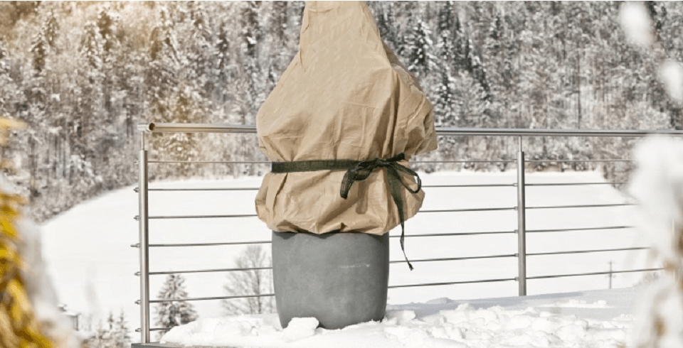 Garten Winterfest, Expertentipps, Slider