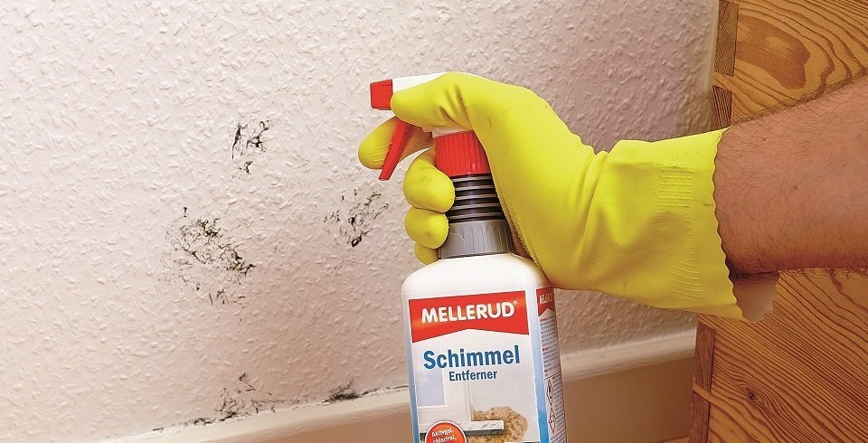 Schimmel entfernen | Kemmler über die Schimmelsanierung