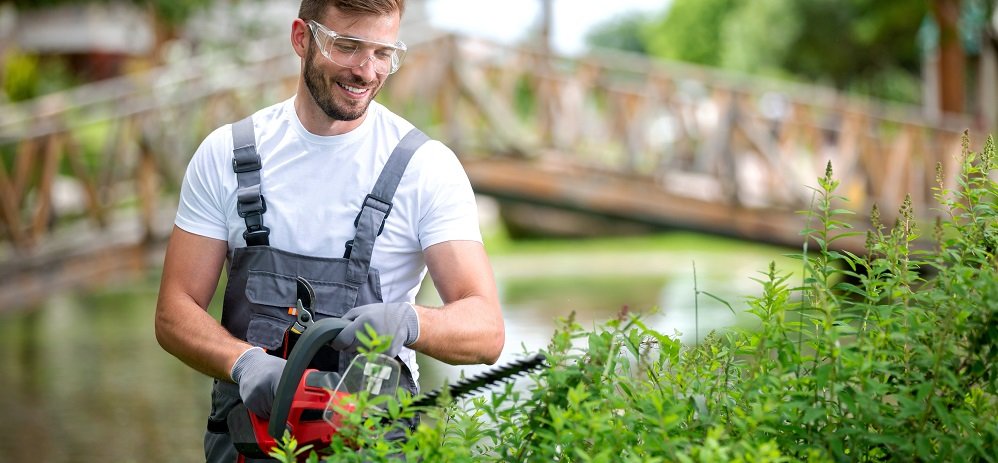 Hecke richtig schneiden - Methoden und Geräten