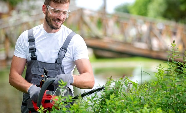 hecke richtig schneiden