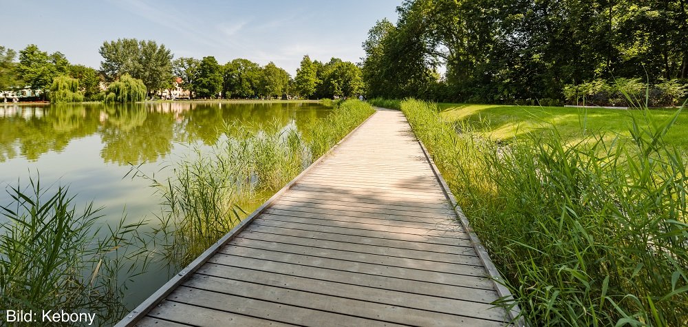 kebony terrassendielen kemmler