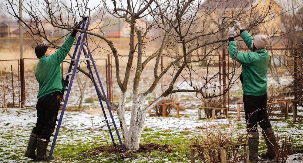 Diese Ausrüstung brauchen Sie im Winter