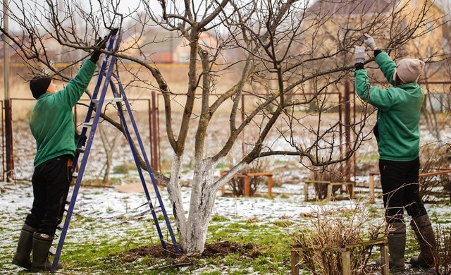 gartenarbeit im winter