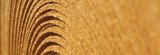 Gukotech Korkstreifen 100x5 mm 100x5 mm