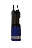 PREMIER TECH AQUA Rewatec Tauchdruckpumpe BlueRain