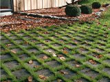 Lithonplus Golf Plus Rasenfugenpflaster