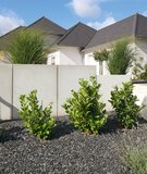Kronimus Mauerscheibe Typ 55 Baulänge 990 mm Bauhöhe 550 mm
